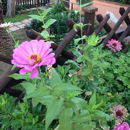 B&B Villa Di Giorgi Cefalù Eksteriør billede