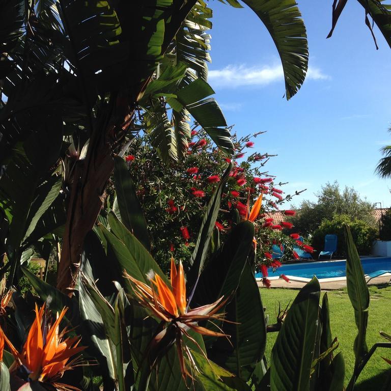 B&B Villa Di Giorgi Cefalù Eksteriør billede