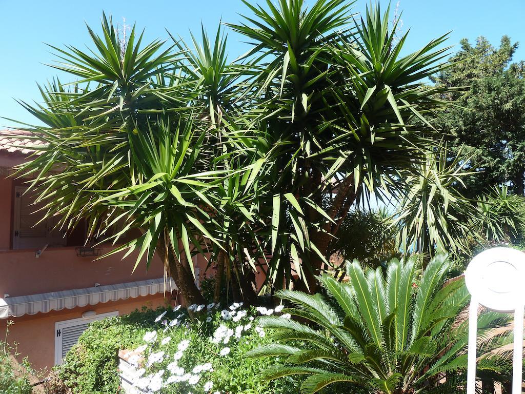 B&B Villa Di Giorgi Cefalù Eksteriør billede