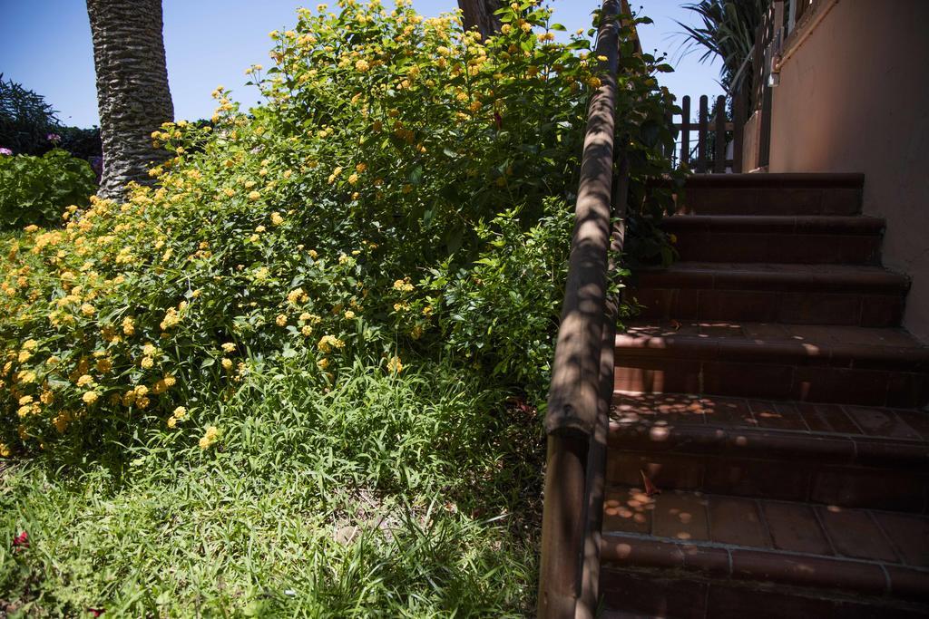 B&B Villa Di Giorgi Cefalù Eksteriør billede